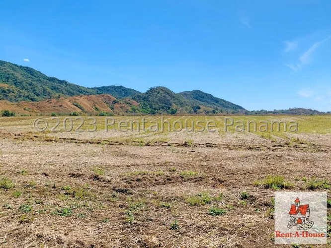INVERSIONISTA VENDO Terreno Cambutal,  Tonosi, 77 Hectareas - Imagen 4