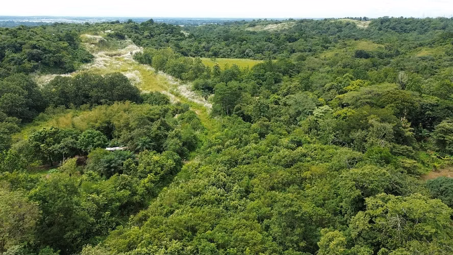 Venta de Terreno en Pacora Utive
