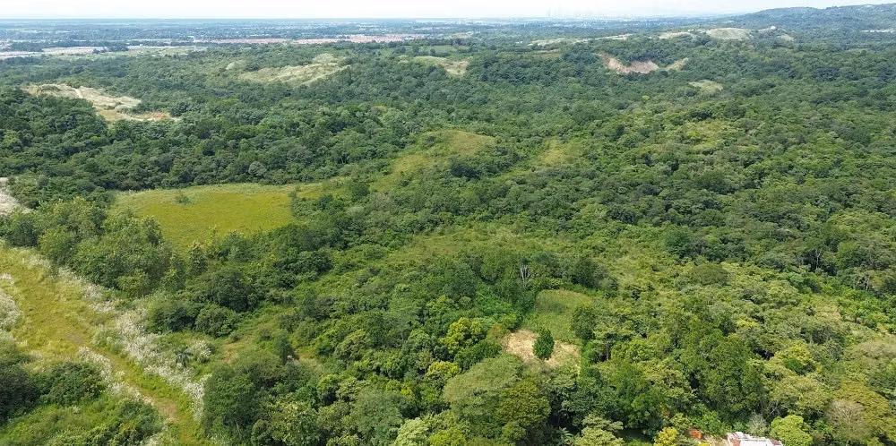 Venta de Terreno en Pacora Utive