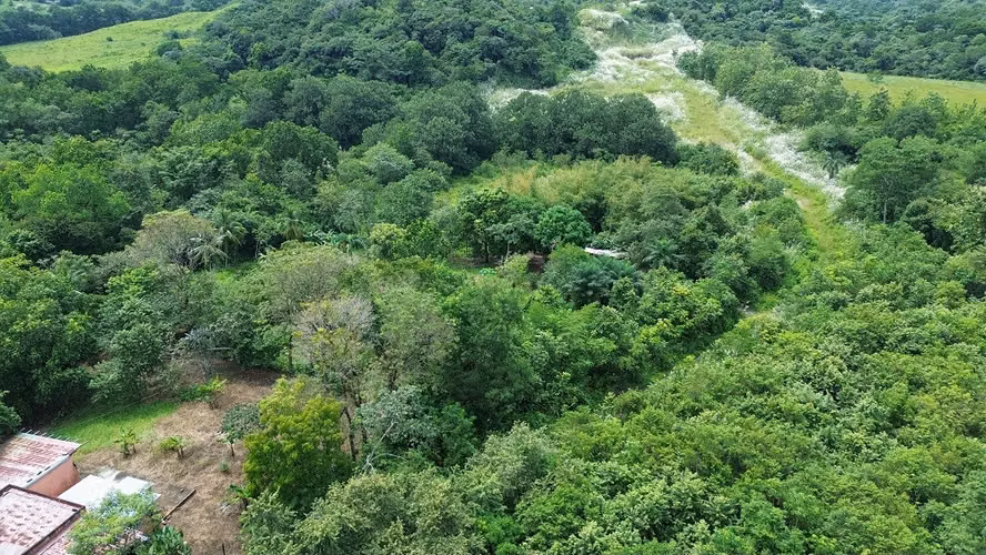 Venta de Terreno en Pacora Utive