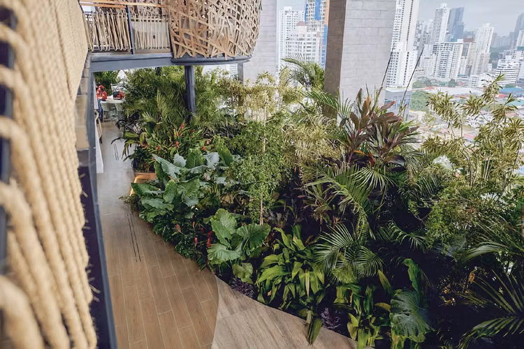 Apartamento en Coco del Mar, PH Dovle Selva