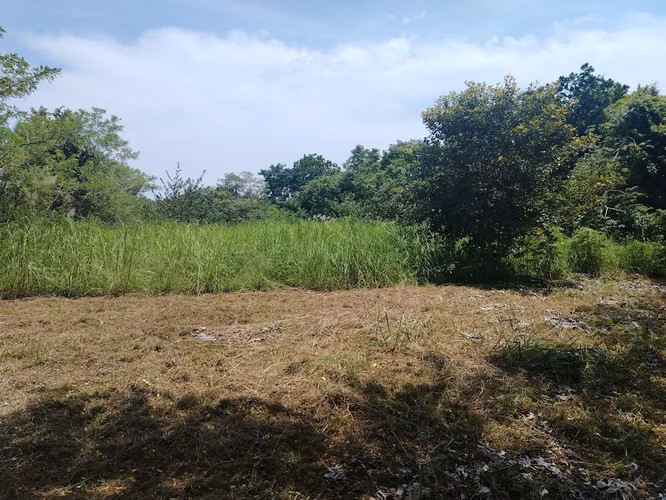 Lote económico campestre en el Hatillo de San Carlos subiendo al Valle - Imagen 5