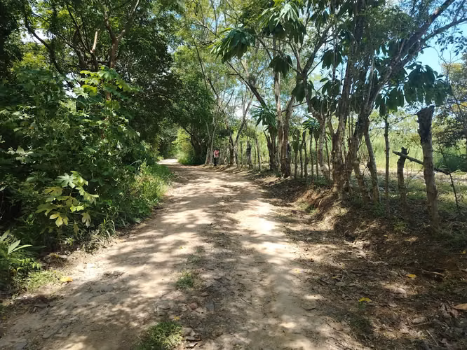 Lote económico campestre en el Hatillo de San Carlos subiendo al Valle - Imagen 9
