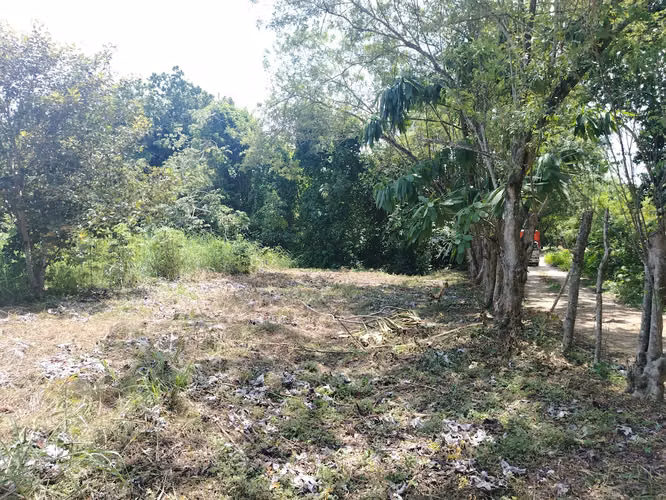 Lote económico campestre en el Hatillo de San Carlos subiendo al Valle - Imagen 3