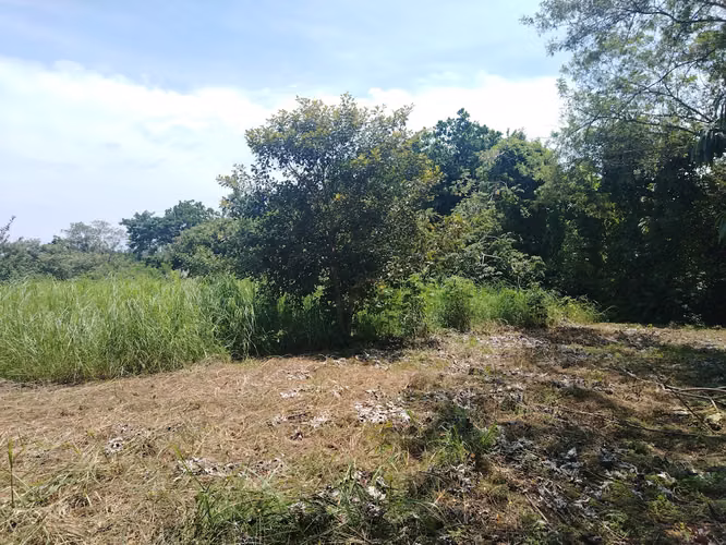 Lote económico campestre en el Hatillo de San Carlos subiendo al Valle - Imagen 2