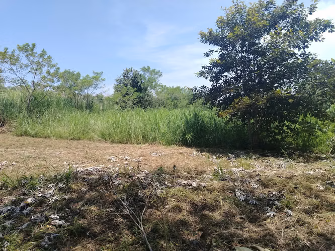 Lote económico campestre en el Hatillo de San Carlos subiendo al Valle - Imagen 6