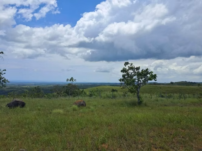 Terrenos en venta en Laguna de San Carlos - Imagen 7