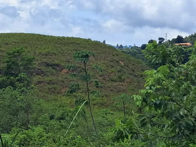 Terrenos en venta en Laguna de San Carlos - Imagen 3