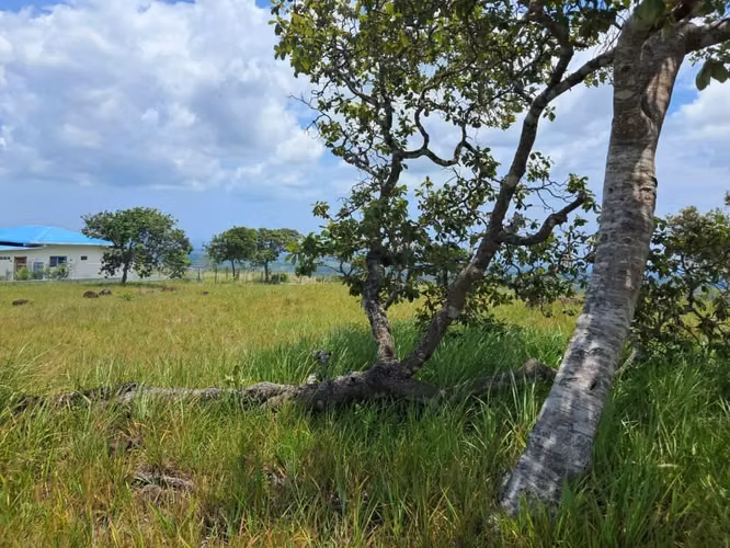 Terrenos en venta en Laguna de San Carlos - Imagen 4