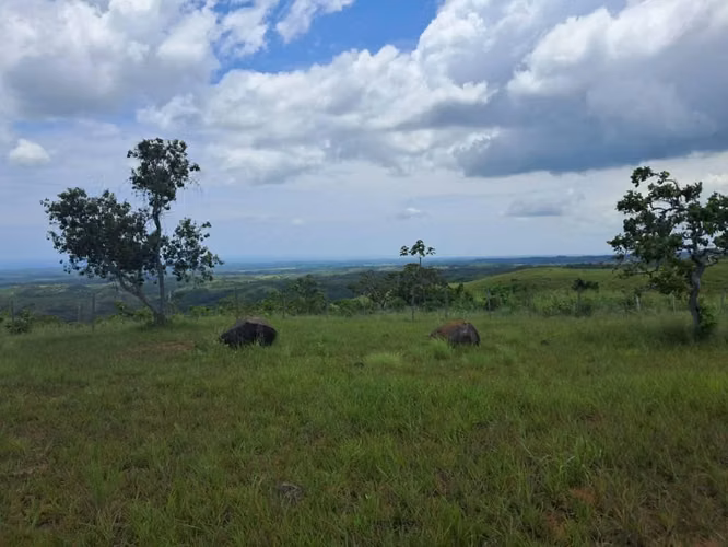 Terrenos en venta en Laguna de San Carlos - Imagen 10
