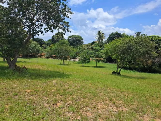 Terrenos en venta en Laguna de San Carlos - Imagen 2