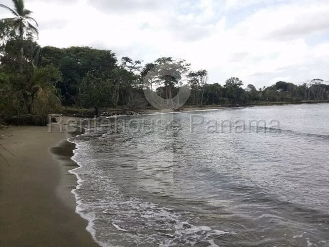 VENDO Terreno FRENTE AL MAR en Rio Indio Colon, 2 Hectareas - Imagen 6