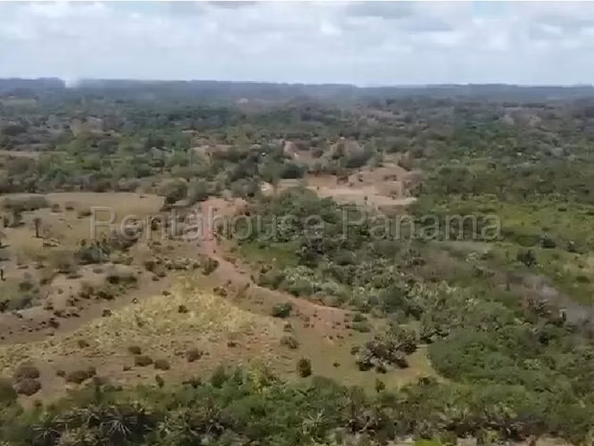 VENDO Terreno FRENTE AL MAR en Rio Indio Colon, 2 Hectareas - Imagen 17
