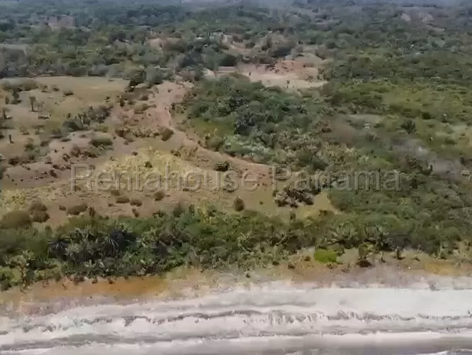 VENDO Terreno FRENTE AL MAR en Rio Indio Colon, 2 Hectareas - Imagen 13