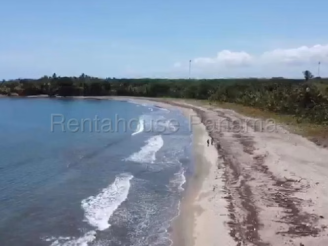 VENDO Terreno FRENTE AL MAR en Rio Indio Colon, 2 Hectareas - Imagen 7