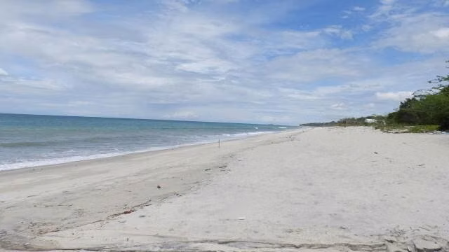 VENDO Terreno  Frente al Mar en San Carlos. 35 Hectareas - Imagen 8