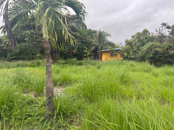 Terreno Gorgona - Imagen 5