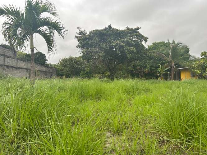 Terreno Gorgona - Imagen 4