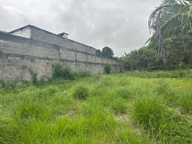 Terreno Gorgona - Imagen 6