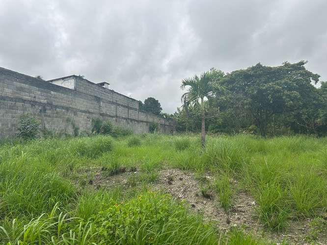 Terreno Gorgona - Imagen 7