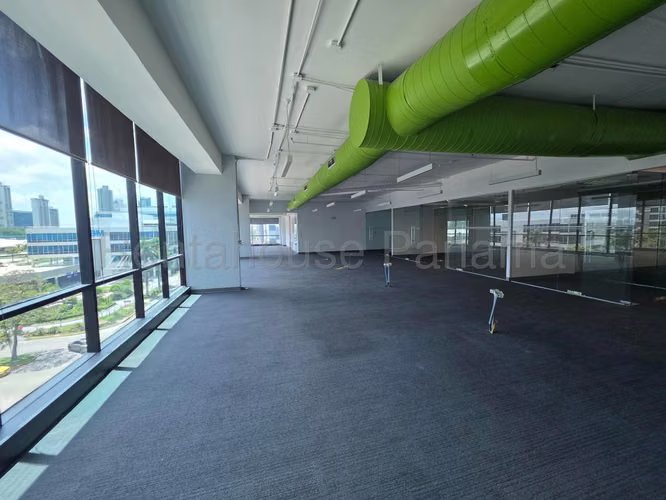 Alquiler Oficinas Costa del Este - YD - Imagen 14