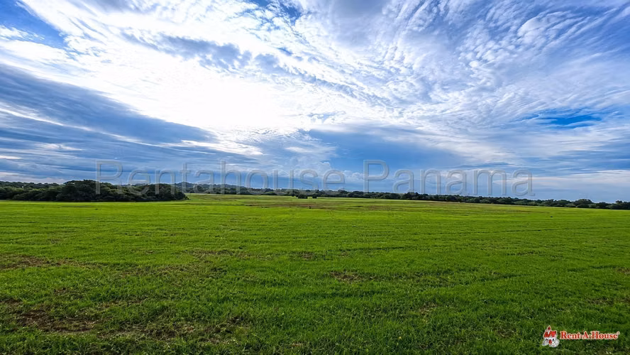 Venta Terreno Tablas Abajo - YD