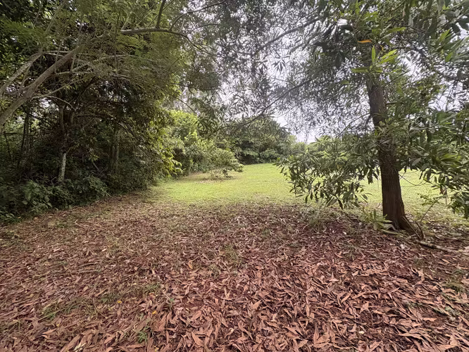 Se vende lote de 397 m² por solo $19,000 en La Chorrera, a un precio especial de remate. - Imagen 5