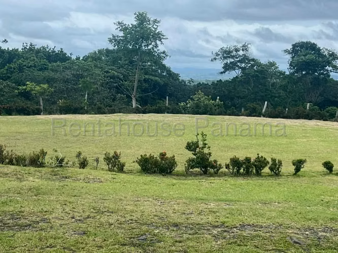 VENTA DE TERRENO EN CHORRERA DDB25-4376