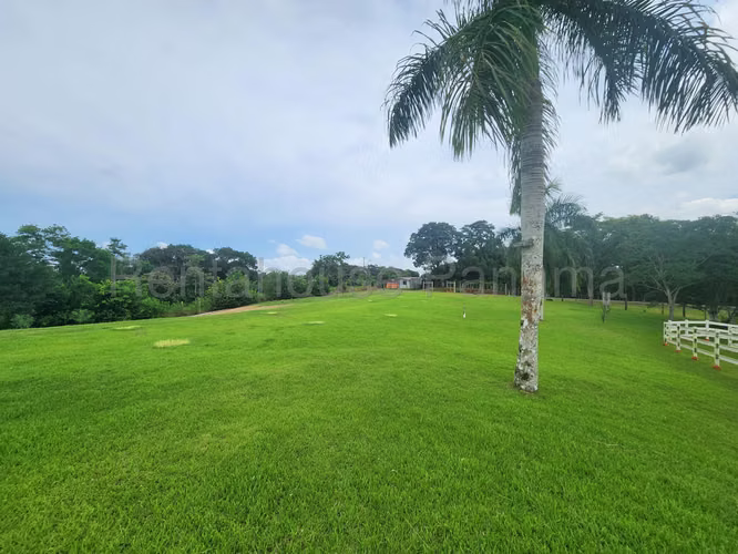 VENTA DE TERRENO EN CHORRERA DDB25-4376