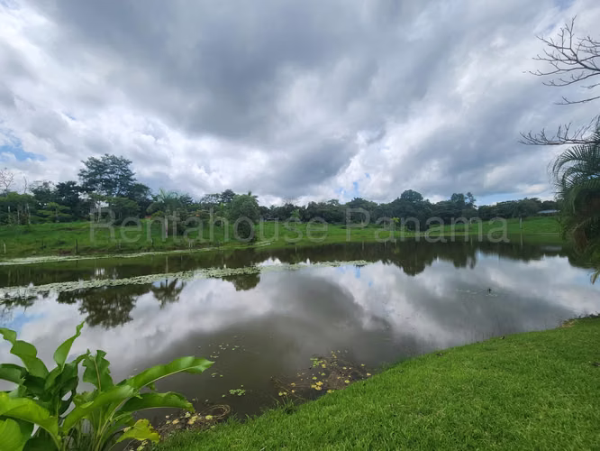 VENTA DE TERRENO EN CHORRERA DDB25-4376