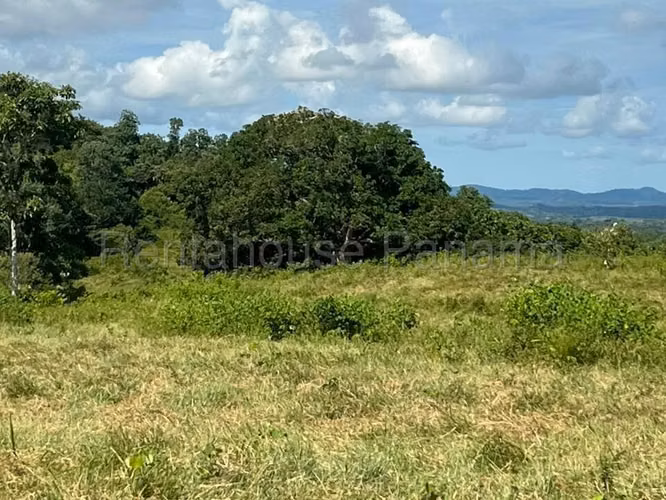 VENTA DE TERRENO EN CHORRERA DDB25-4376