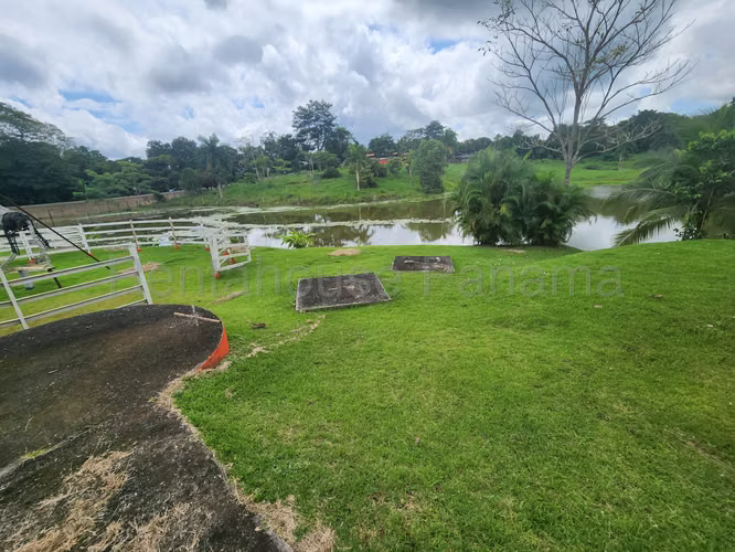 VENTA DE TERRENO EN CHORRERA DDB25-4376