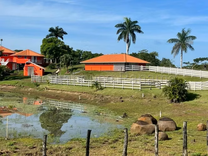 VENTA DE TERRENO EN CHORRERA DDB25-4376