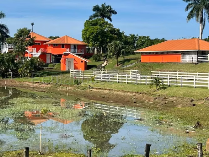 VENTA DE TERRENO EN CHORRERA DDB25-4376