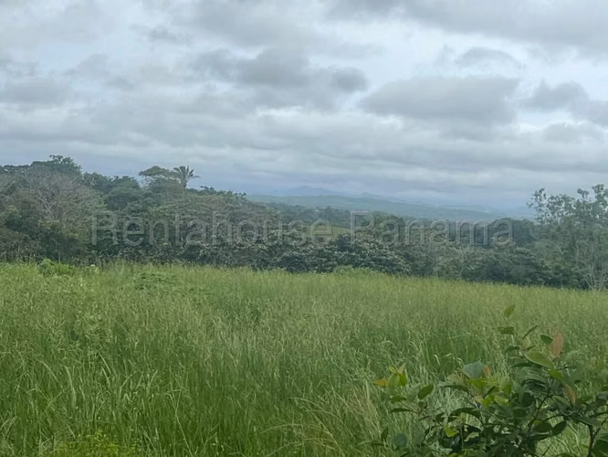 VENTA DE TERRENO EN CHORRERA DDB25-4376