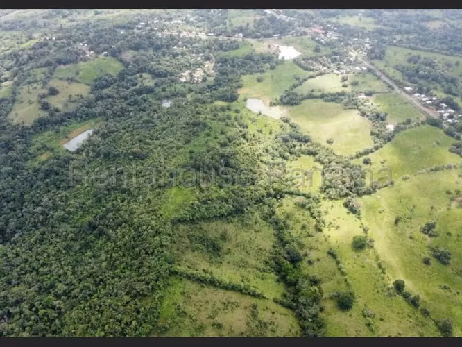 VENTA DE TERRENO EN CHORRERA DDB25-4376