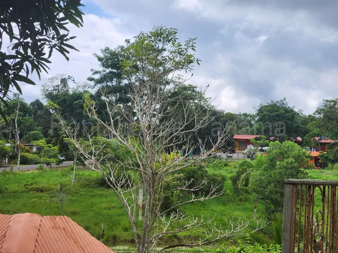 VENTA DE TERRENO EN CHORRERA DDB25-4376