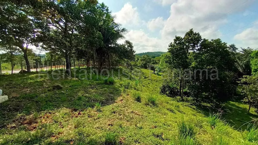 VENTA DE TERRENO EN CHORRERA DDB26-7124