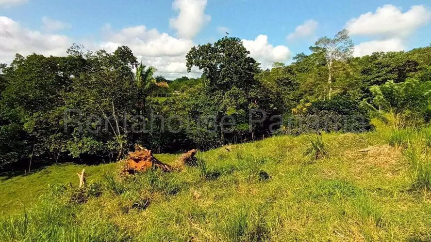 VENTA DE TERRENO EN CHORRERA DDB26-7124 - Imagen 10