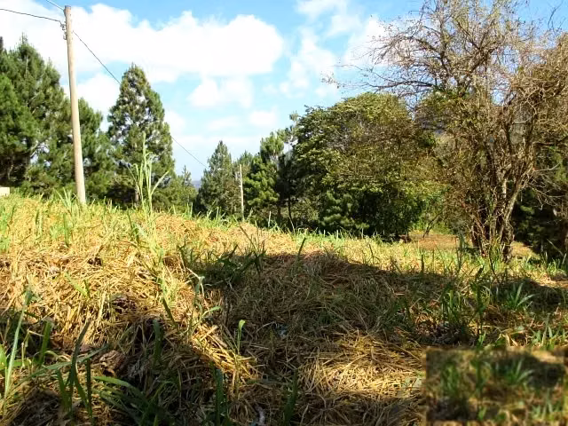 Terreno en Altos del María, Panamá - Imagen 11