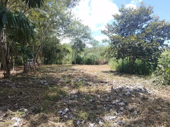 Lote plano campestre en el Hatillo de San Carlos, precio reducido - Imagen 10