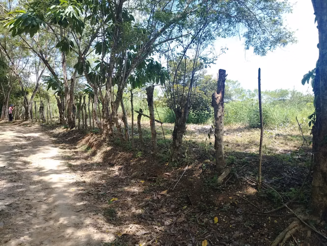 Lote plano campestre en el Hatillo de San Carlos, precio reducido