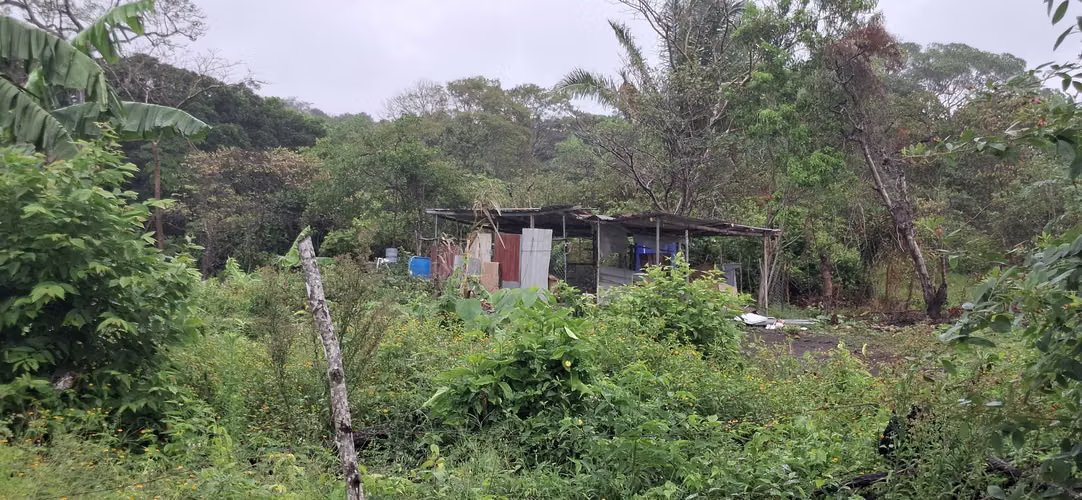 VENTA TERRENO EN CAPIRA, LIDICE