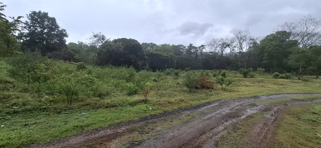 VENTA TERRENO EN CAPIRA, LIDICE