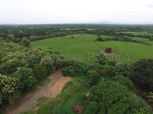 Terreno en venta Juan Díaz Coclé 26MAM6746