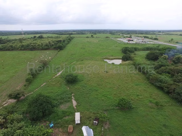Terreno en venta Juan Díaz Coclé 26MAM6746