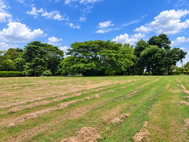 Venta de Terreno en Buenaventura, 4,229m² colindante con el lago