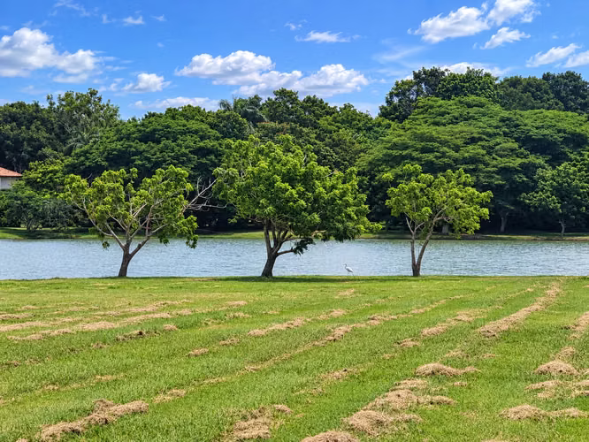 Venta de Terreno en Buenaventura, 4,229m² colindante con el lago