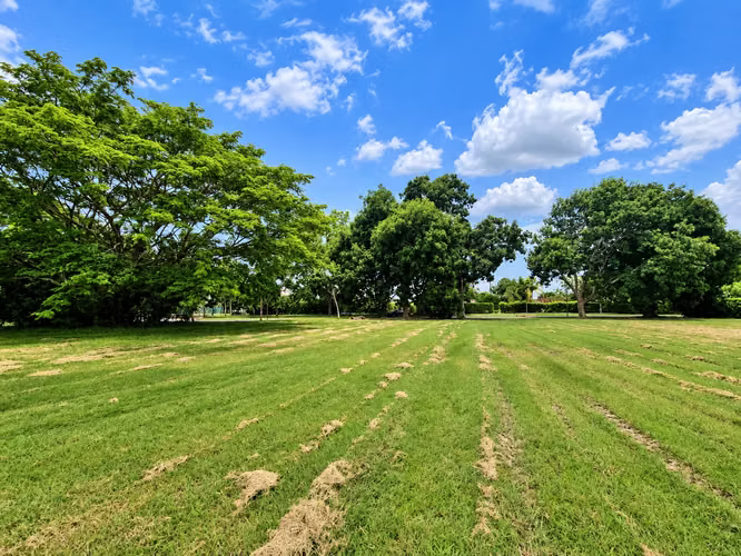 Venta de Terreno en Buenaventura, 4,229m² colindante con el lago