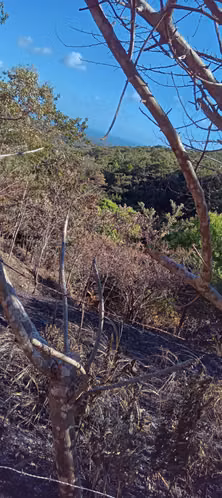Venta de Lote en San Carlos cerca de El Nancito - Imagen 4